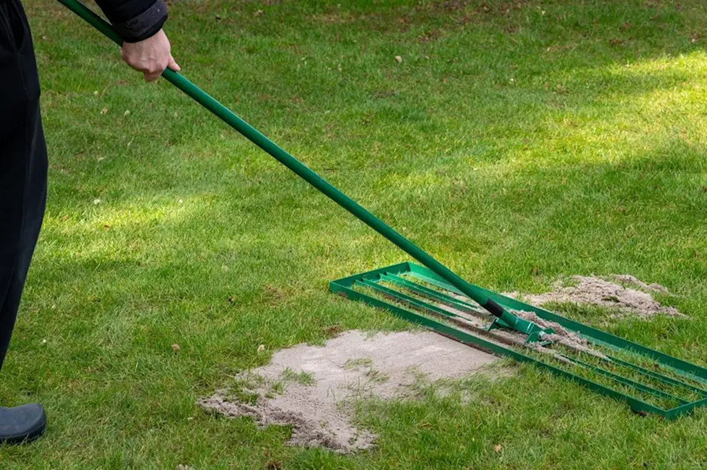 Lawn rake with sand
