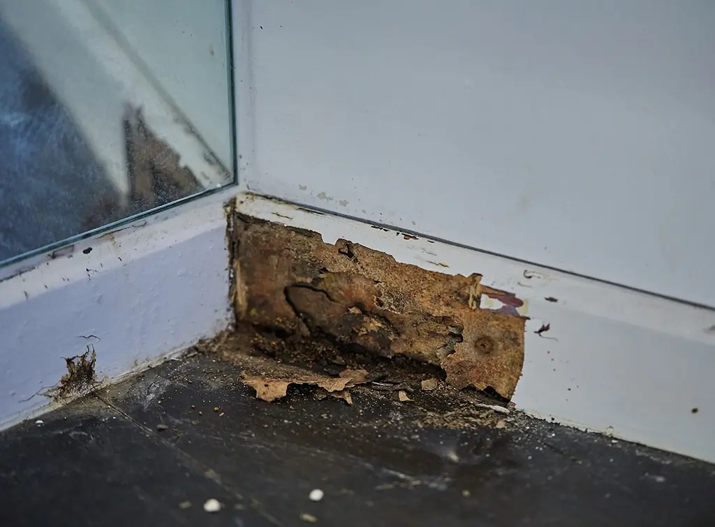 Removing skirting boards