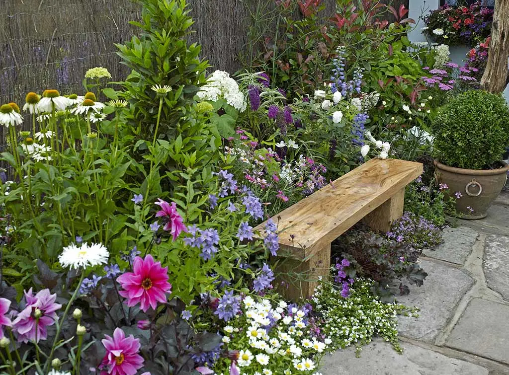 north west garden sun