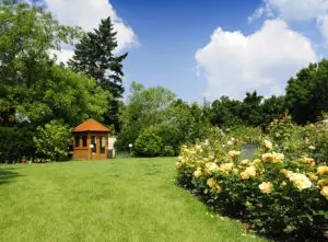 Large garden ideas