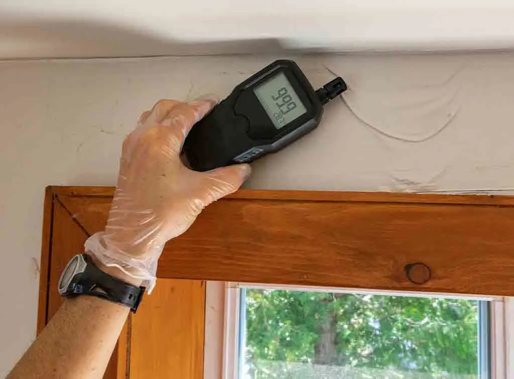 find a damp surveyor near you