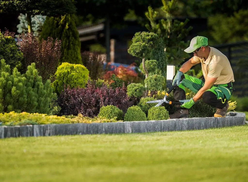 https://www.checkatrade.com/blog/wp-content/uploads/2023/03/tools-for-landscape-gardening-hedges-and-flower-beds.jpeg