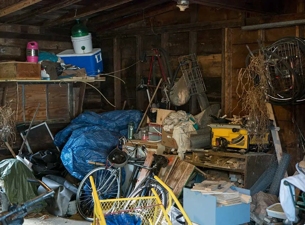 organizing and decluttering services near me