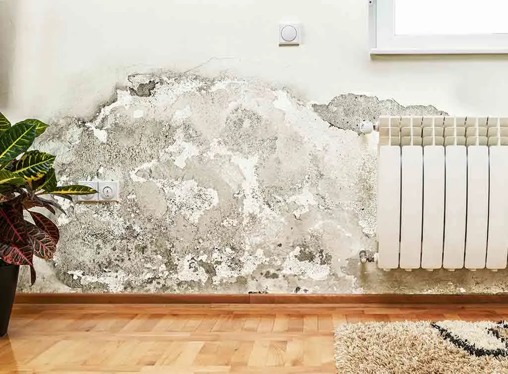 Damp inside a home