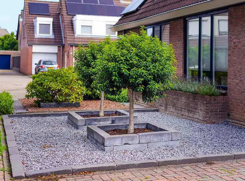 Gravel and trees are a low-maintenance front garden idea