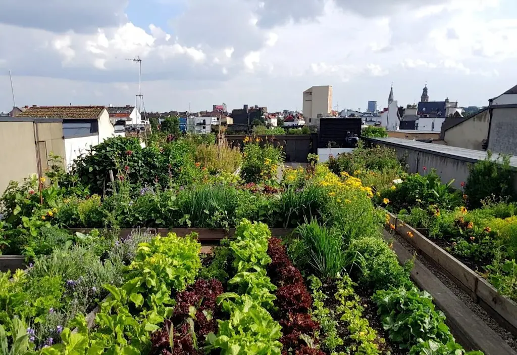 Cultivated roof garden