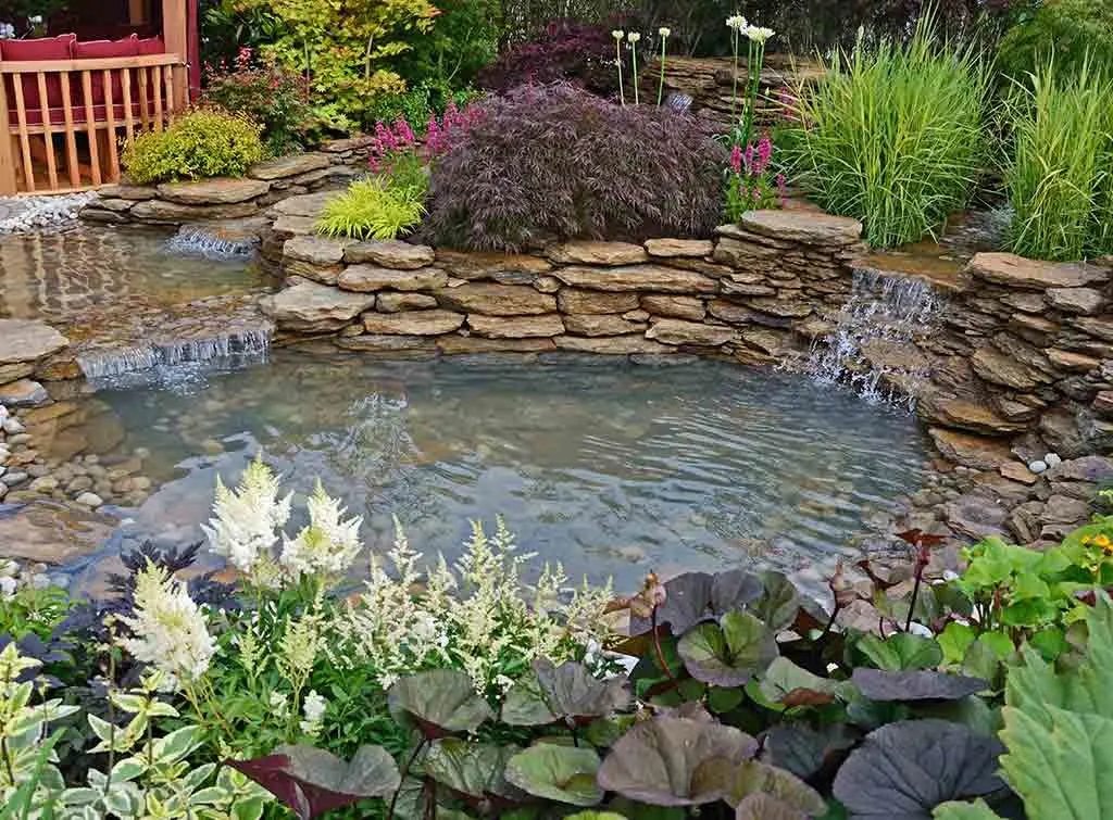 Rockery with pond
