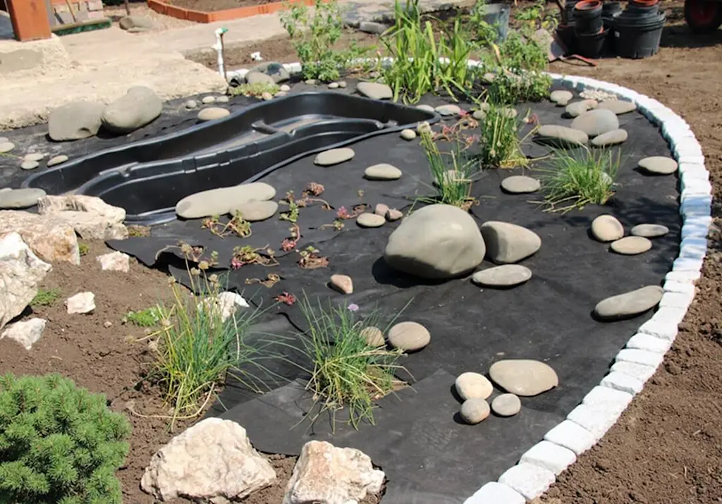 New pond before filling