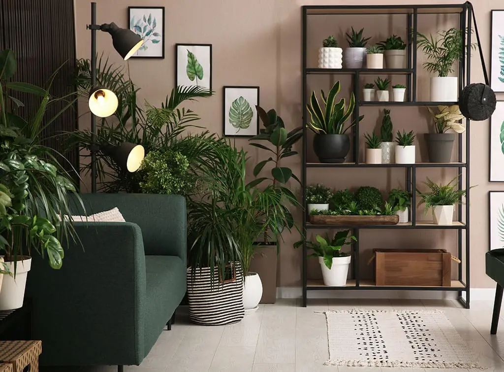 living room filled with plants