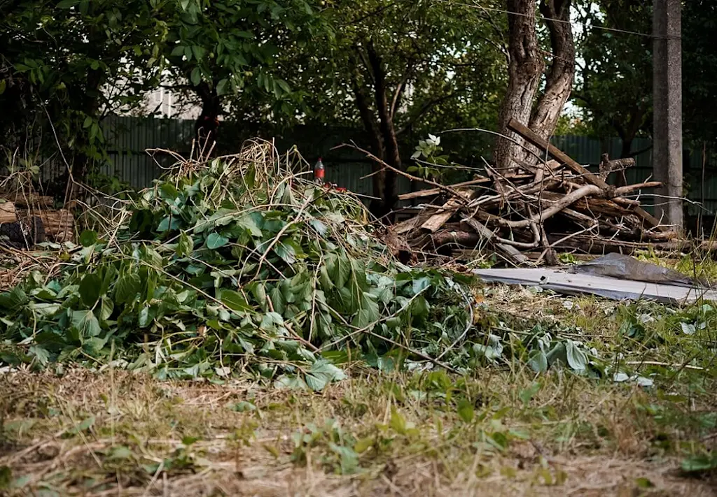 garden clearance