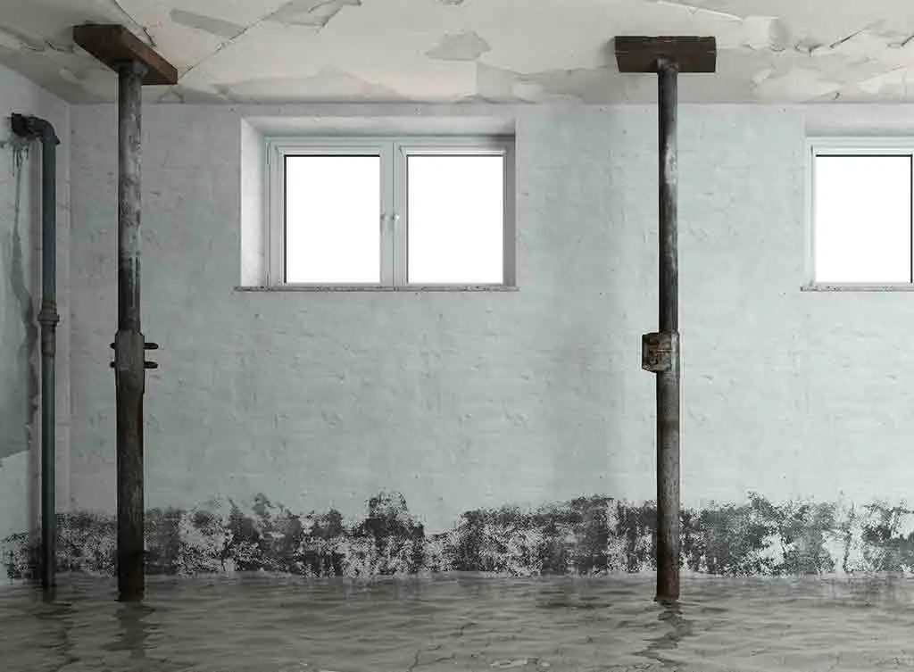 cost to pump water out of basement