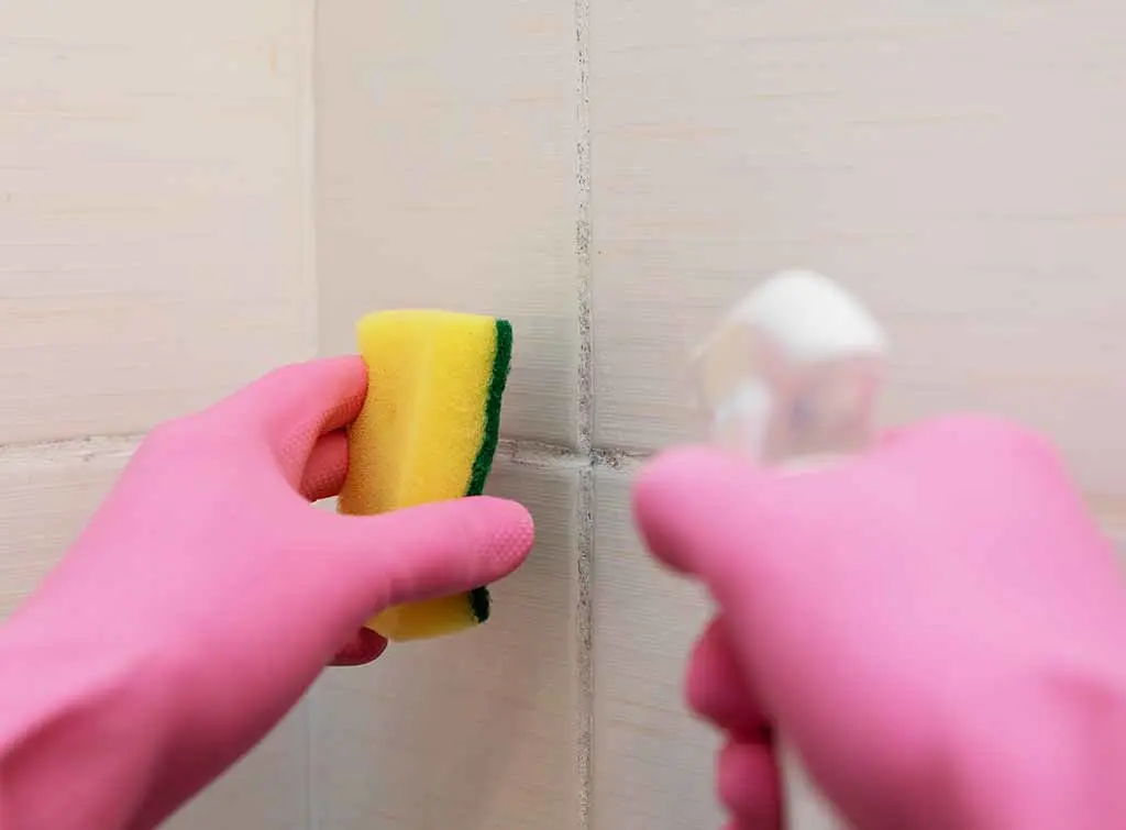 removing mould from grout