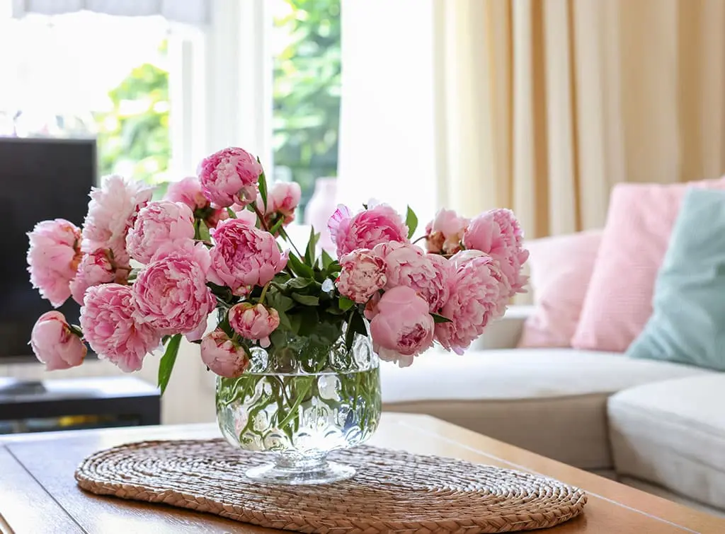 pink peonies on coffee table