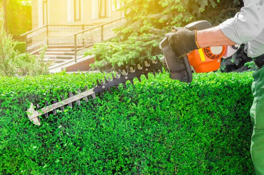 https://www.checkatrade.com/blog/wp-content/uploads/2019/06/OH3-1024x678.jpg