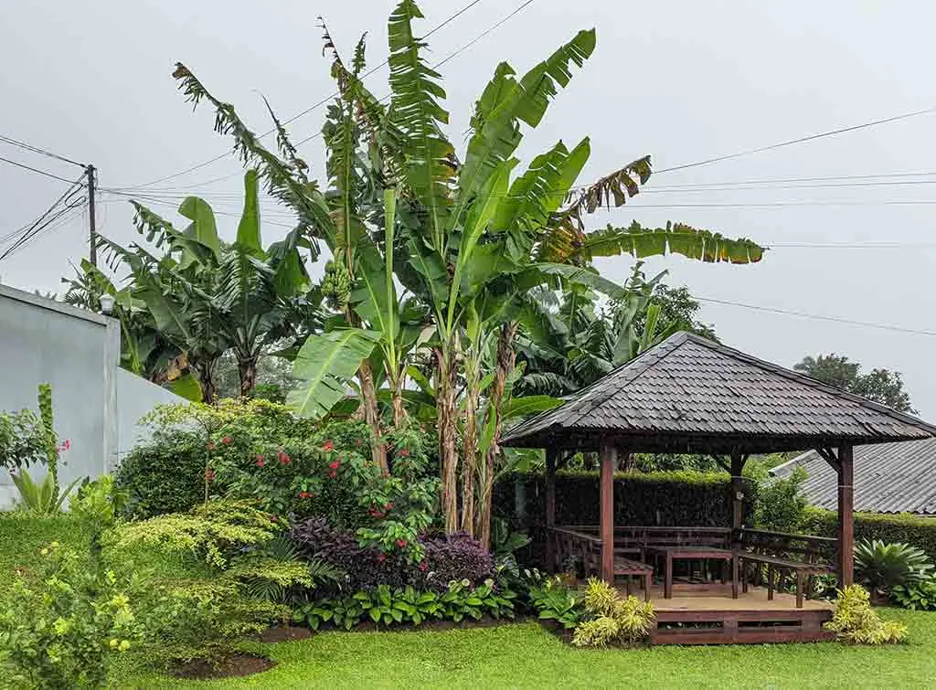 tropical inspired garden shelter