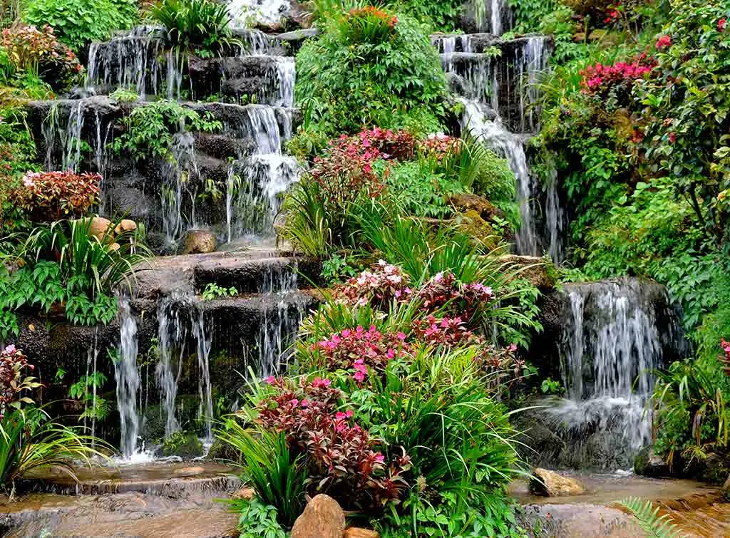Pond waterfall with foliage