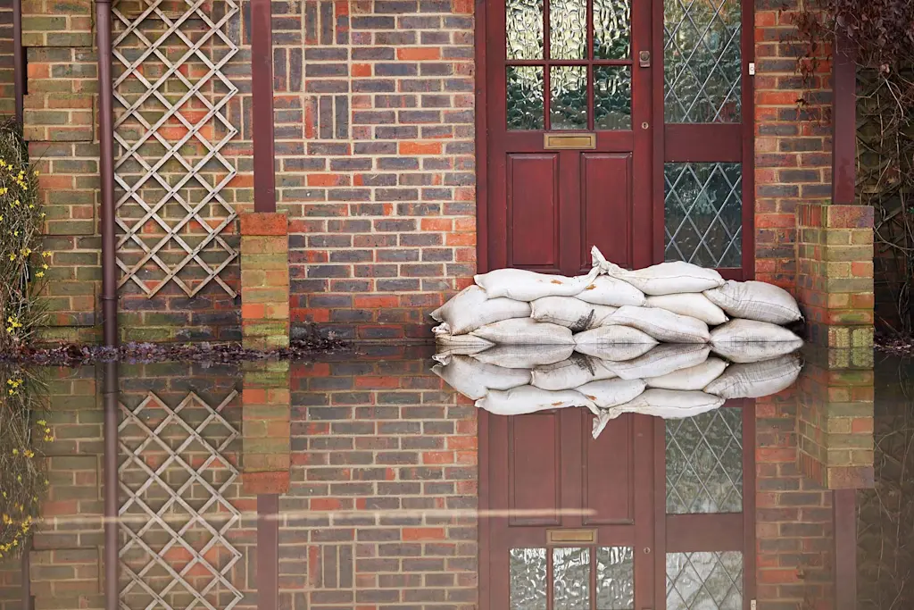 Find flood cleaning near me