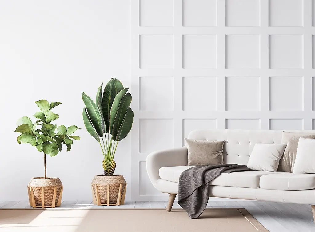 living room panelling