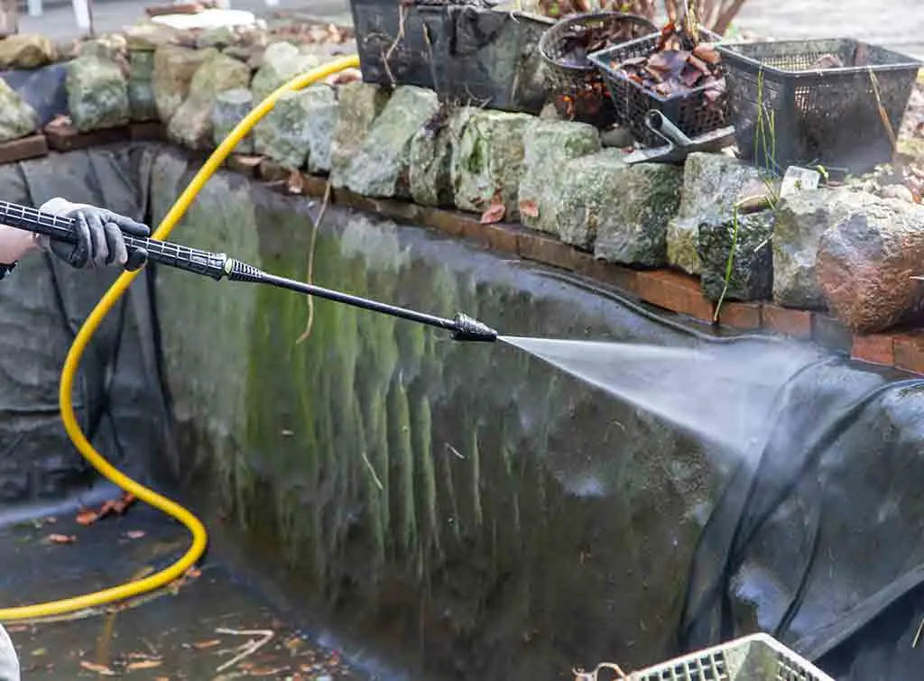 Clean garden pond