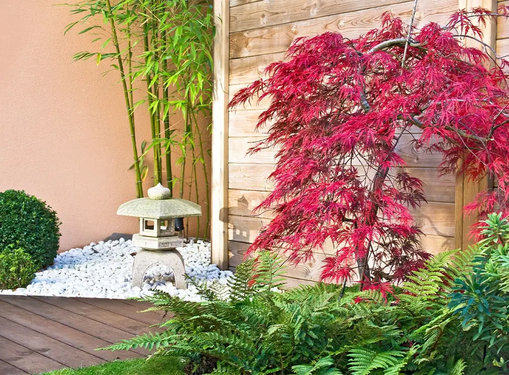 Japanese garden
