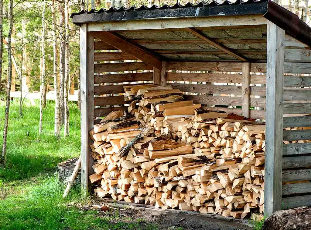Logs being stored outside