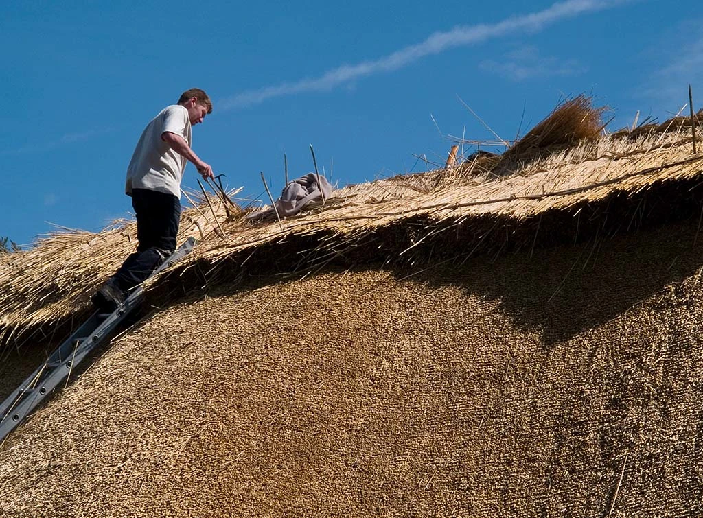 https://www.checkatrade.com/blog/wp-content/uploads/2021/10/learn-how-to-thatch-a-roof.jpg