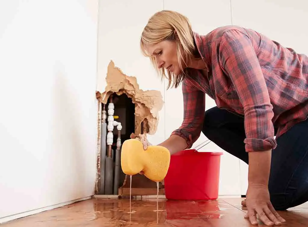Repair water damaged wood floor