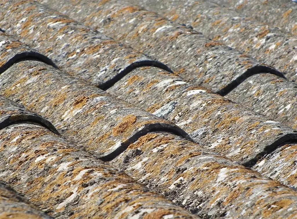 Removal of asbestos in roof