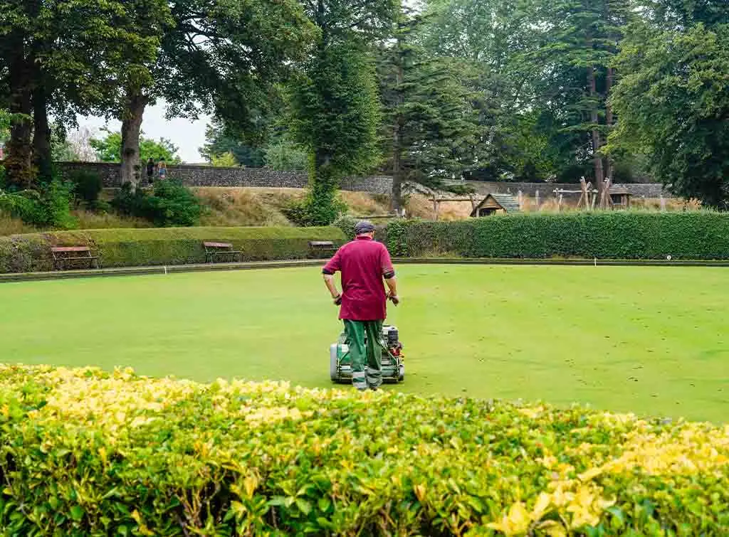Bowling green maintenance
