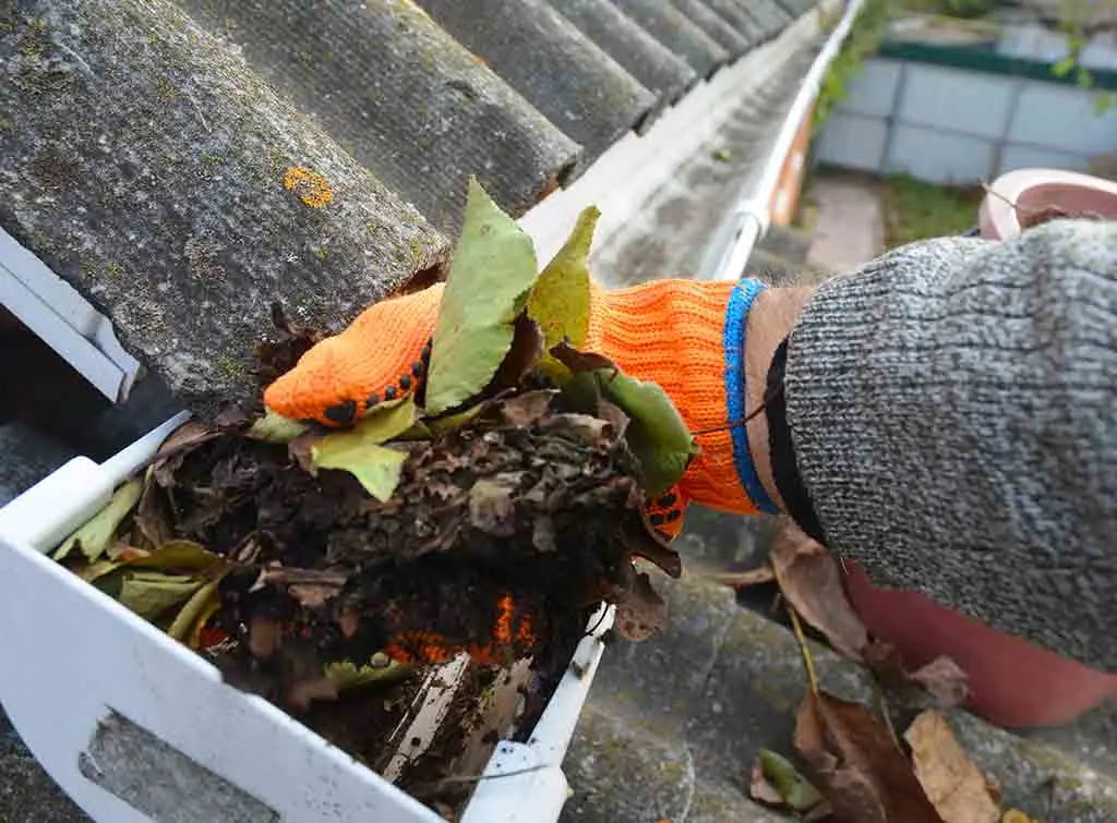 Gutter cleaning, removing leaves and debris