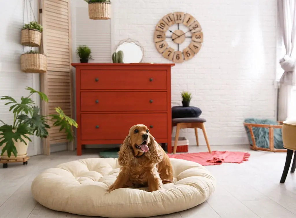 Loft conversion ideas peace room