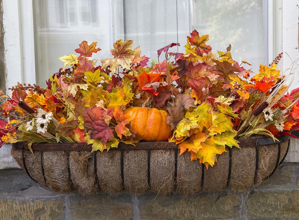 autumnal window box