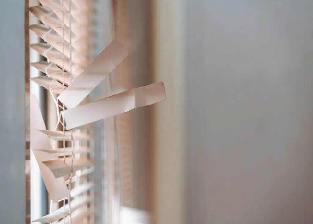 blind-repair-services-near-me-1024x733.jpeg