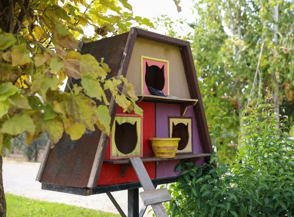 Outdoor enclosure for your cats - fun cat house in a tree
