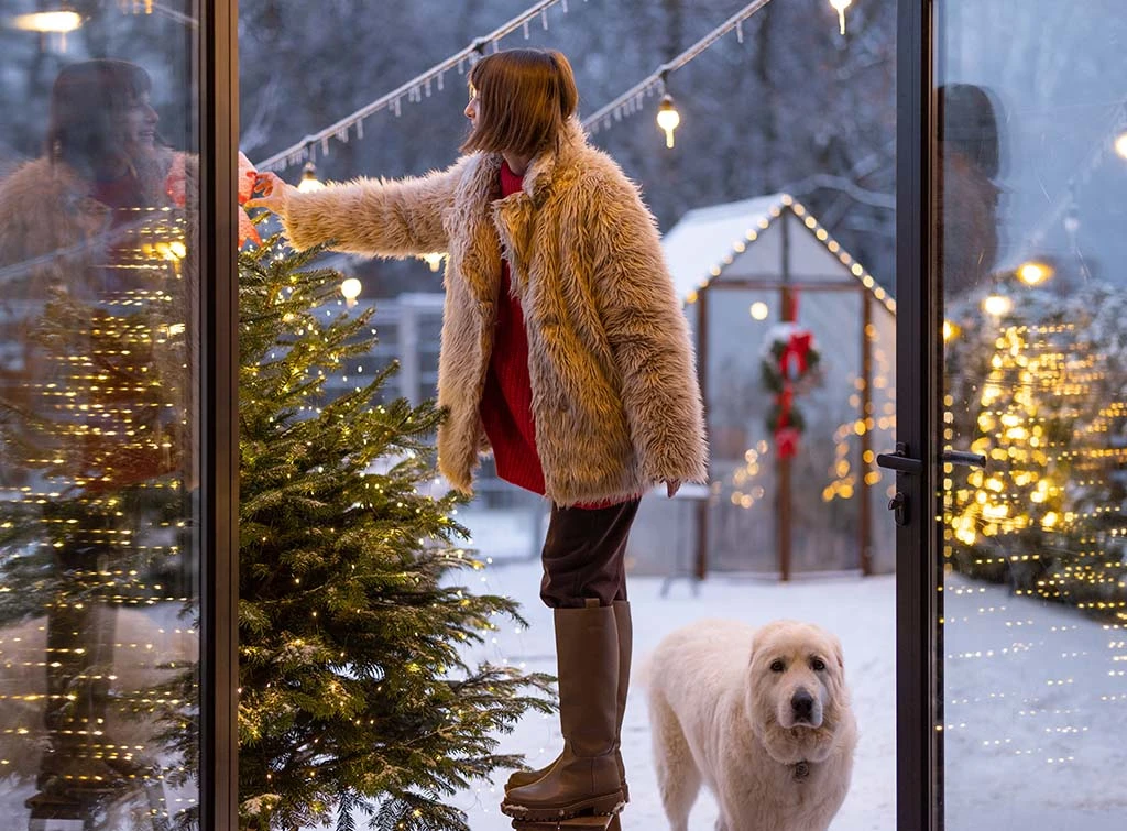 light up the back garden for Christmas
