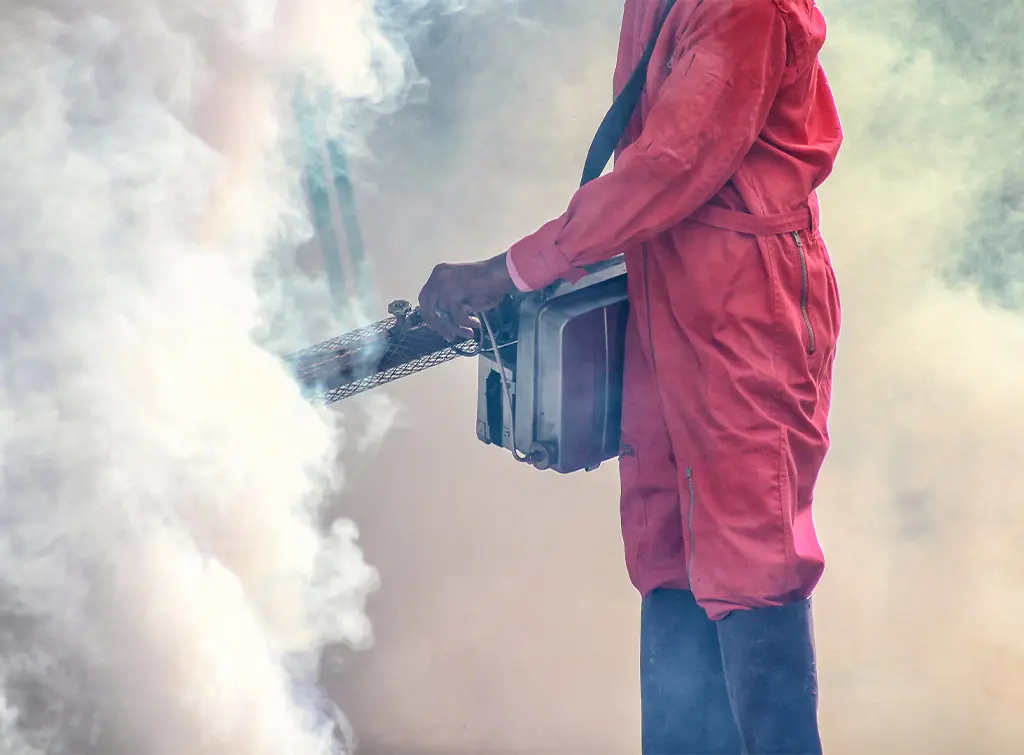 Fumigation treatment for woodworm