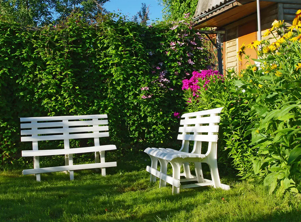 Back garden privacy ideas