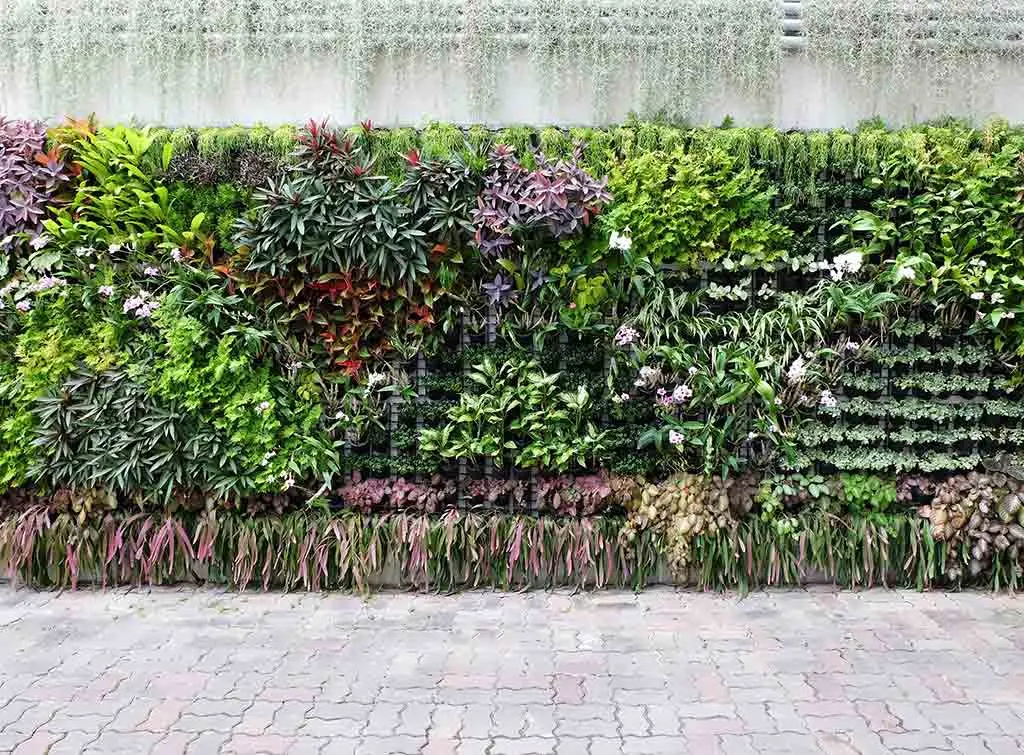 Natural garden screening idea