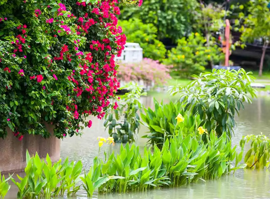 Cost to prevent flood damage