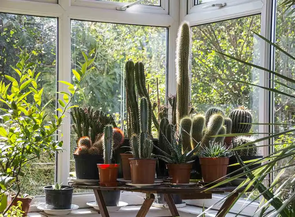 Greenhouse sunroom ideas