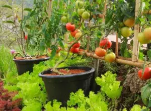 Garden trends 2021 repurposing and recycling