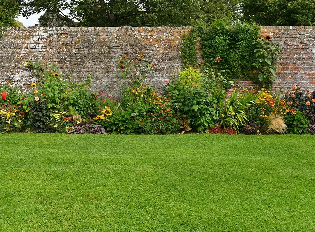 flower bed in front of garden wall