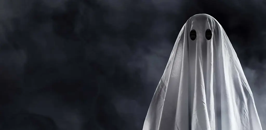 Find Ghostbusters to call near you