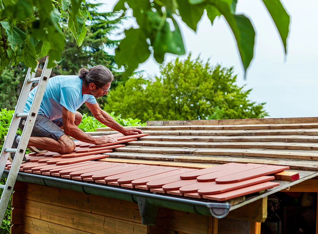 Shed roof replacement cost