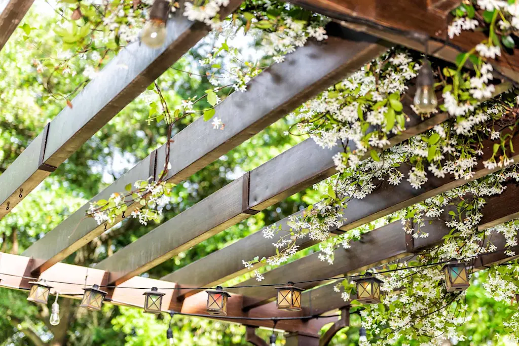 A pergola with jasmine