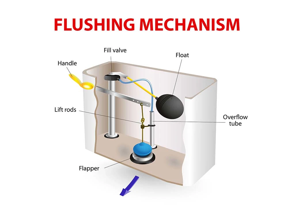 Diagram of toilet cistern for toilet filled up with water