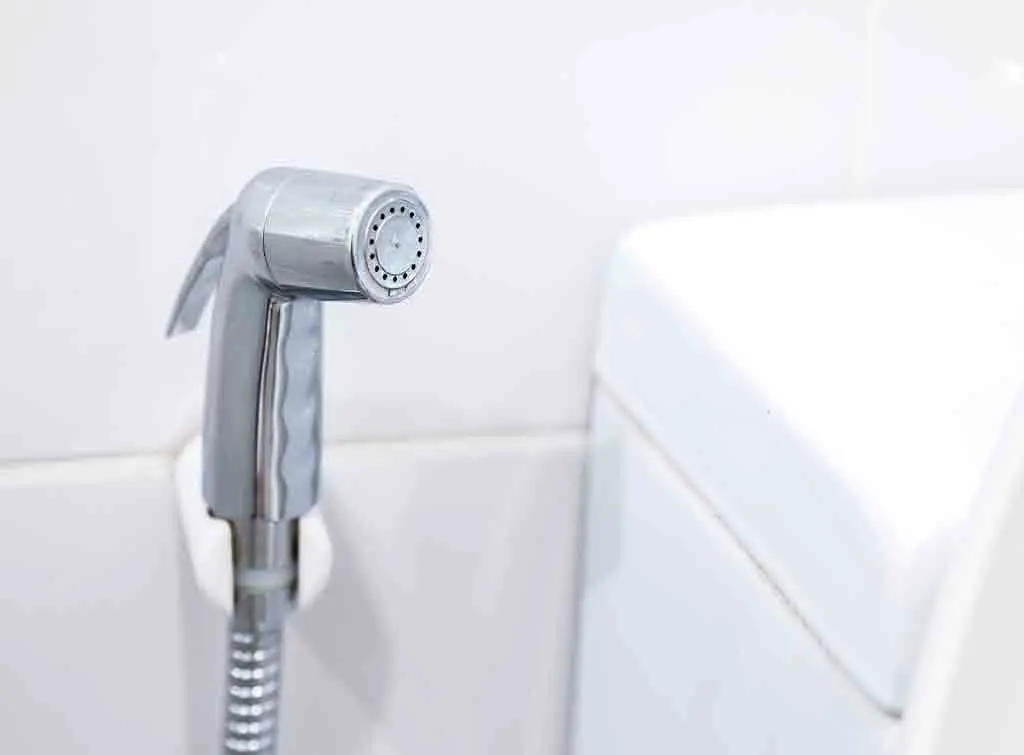 https://www.checkatrade.com/blog/wp-content/uploads/2020/10/Bidet-spray-installation-cost.jpg