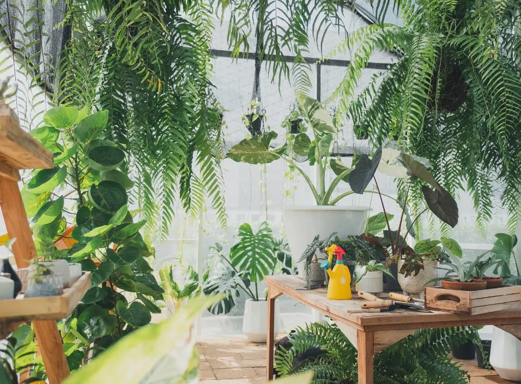 Greenhouse conservatory for a breath of fresh air