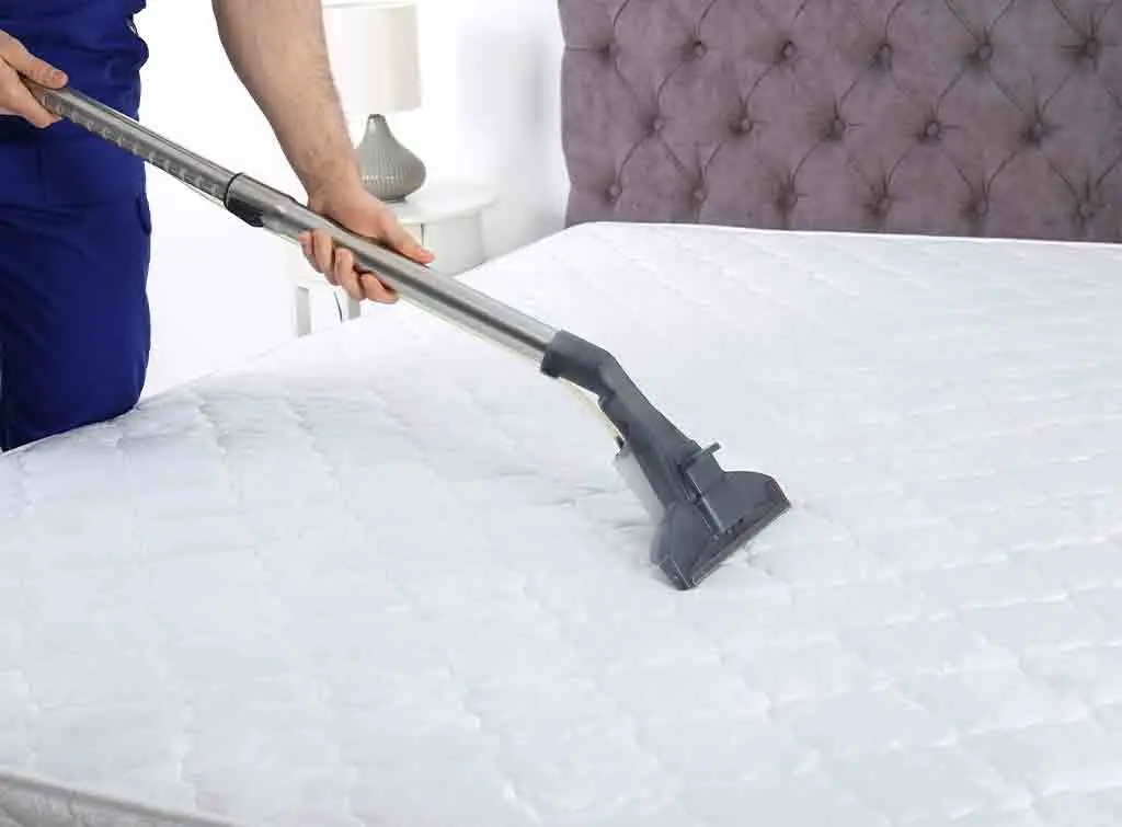 Mattress cleaning prices