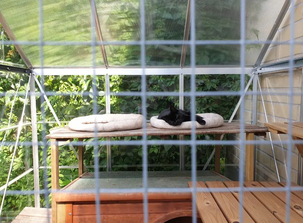 Perfect outdoor enclosure for cats - wire structure with comfy shelf